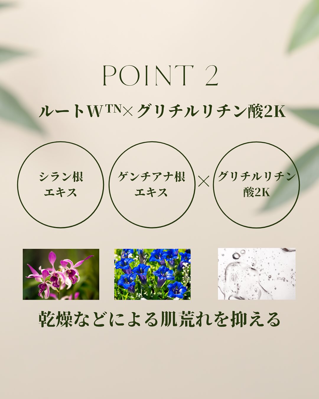 DREX特徴2