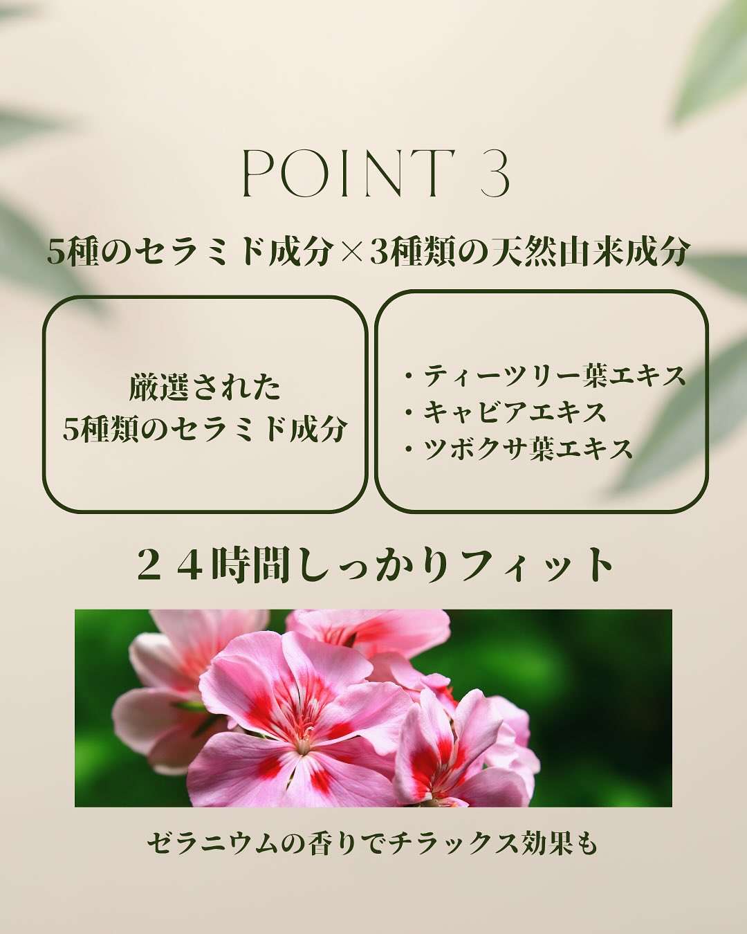 DREX特徴3