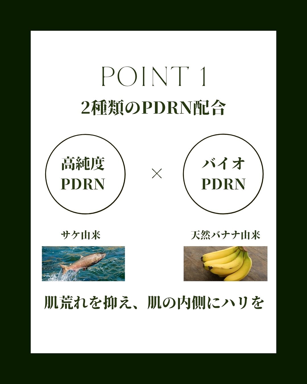 特徴1
