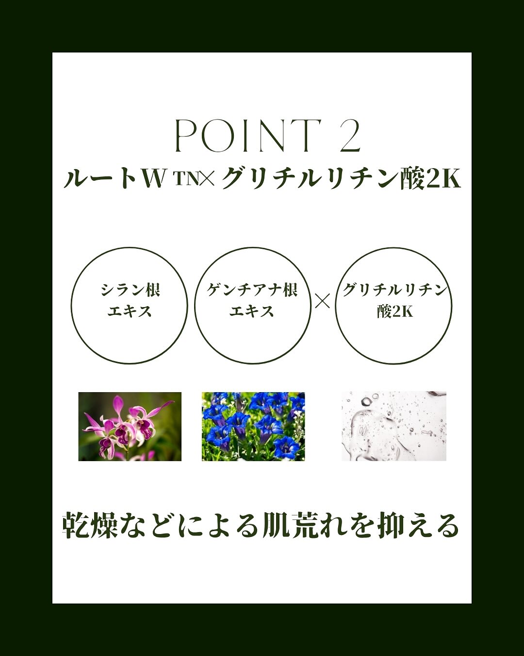 特徴2