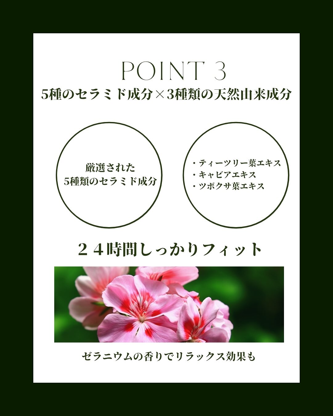 特徴3
