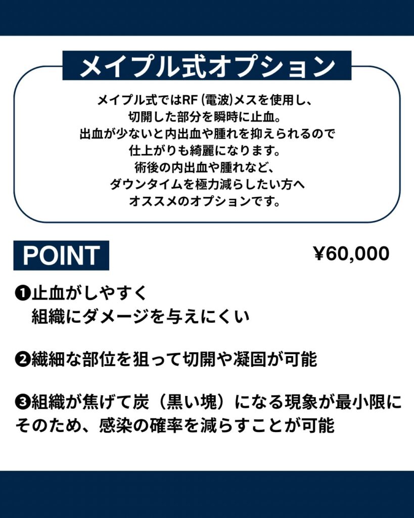 メイプル式オプション