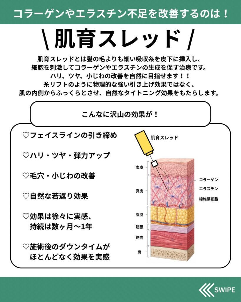 肌育スレッド